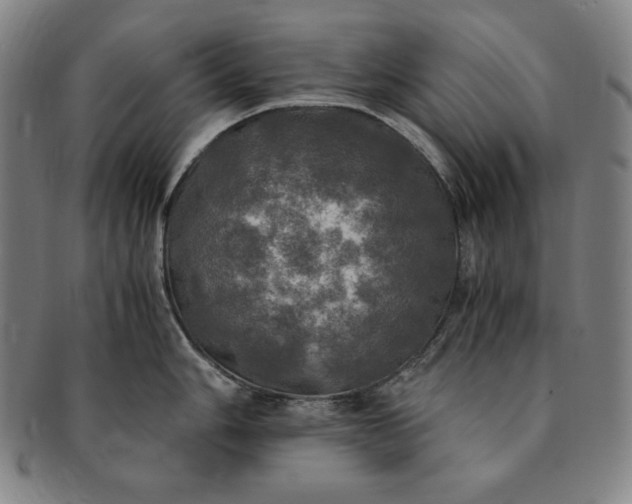 X0000091201006200708231526