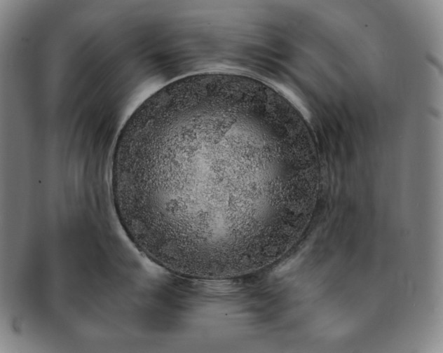 X0000091201007200708231526