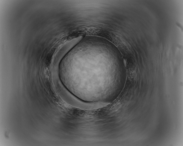 X0000091201010200708231525