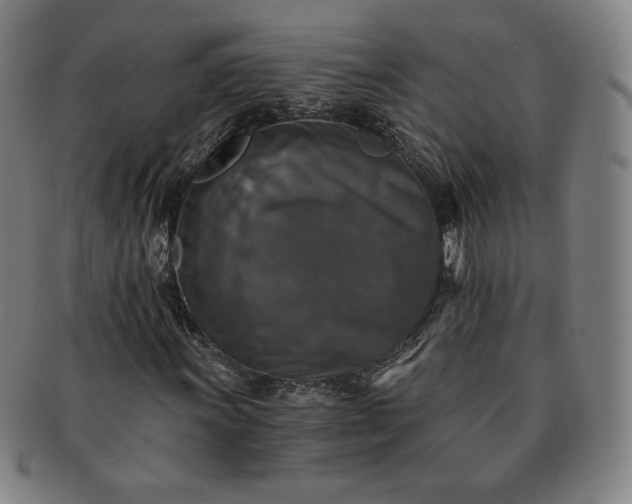 X0000091201011200708231525