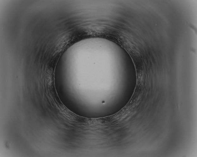 X0000091201012200708231525