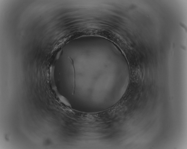 X0000091201013200708231525