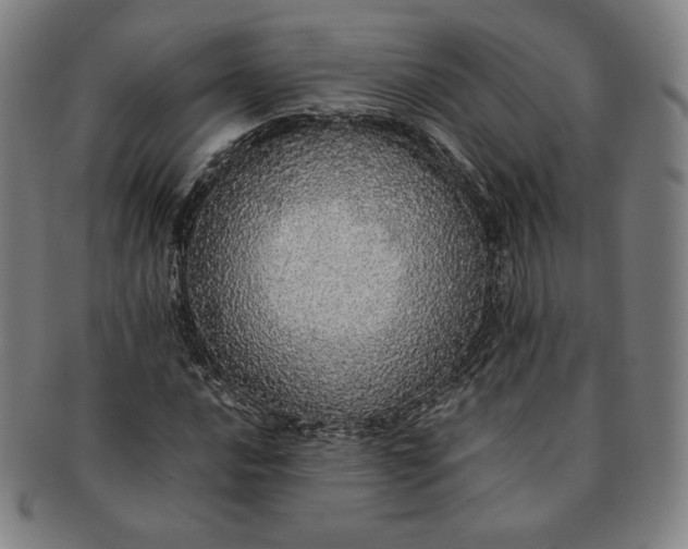 X0000091201016200708231525