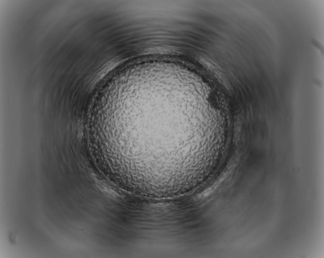 X0000091201017200708231525