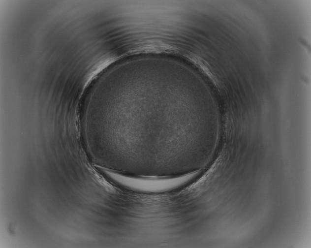 X0000091201018200708231525