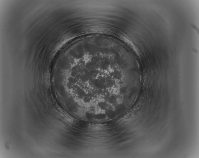 X0000091201019200708231525