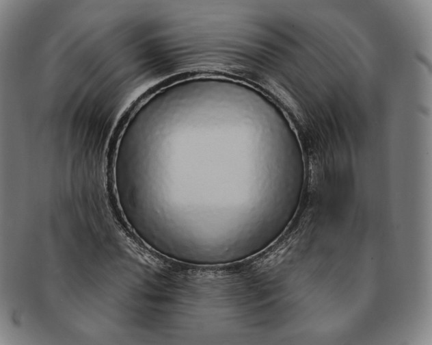 X0000091201020200708231526