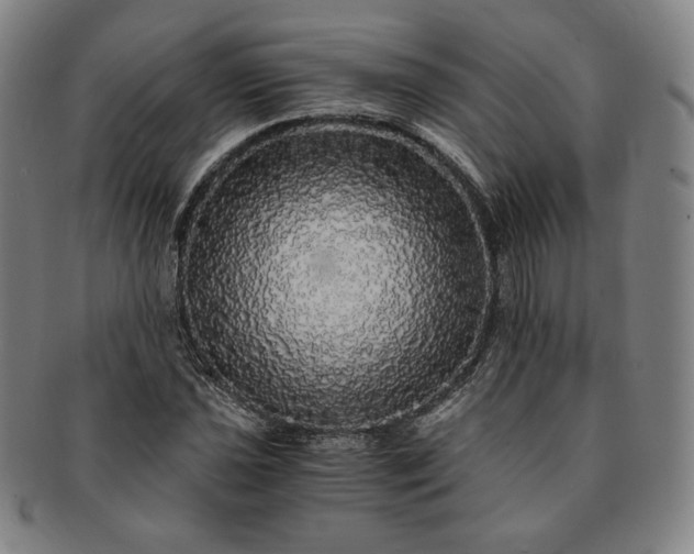 X0000091201021200708231526