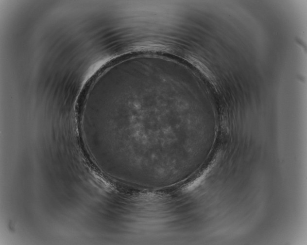 X0000091201022200708231526