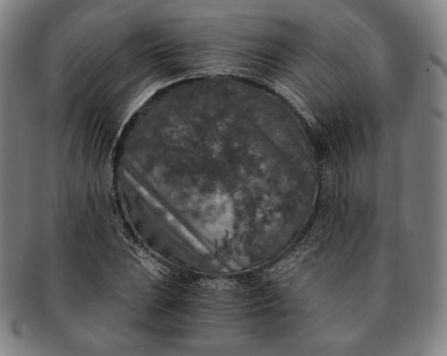 X0000091201023200708231526