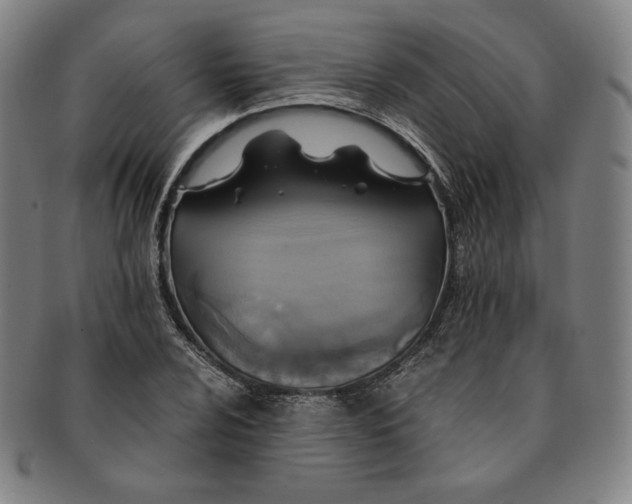 X0000091201024200708231526