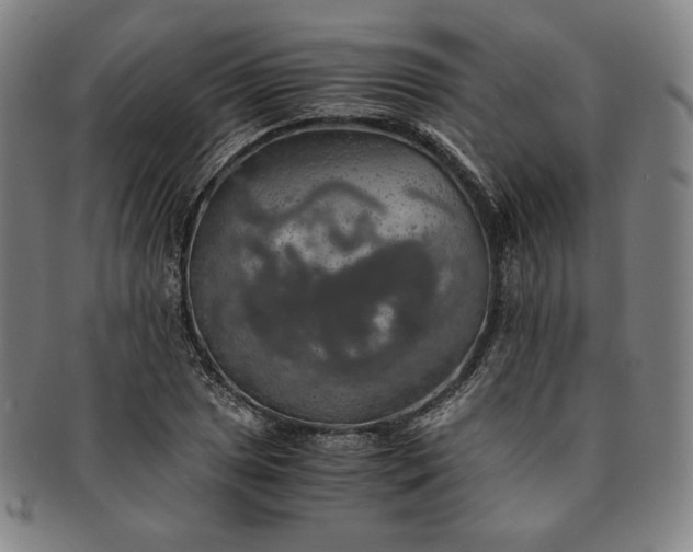 X0000091201025200708231526