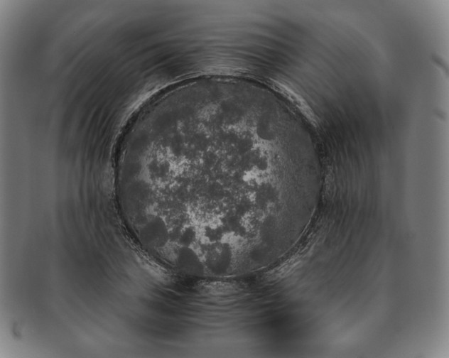 X0000091201027200708231526