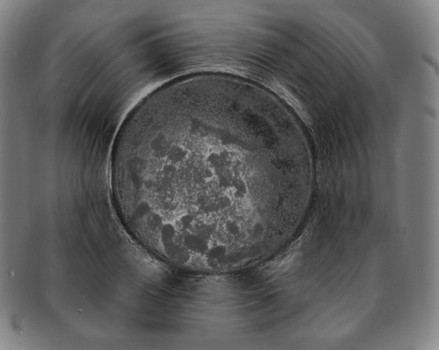 X0000091201028200708231526