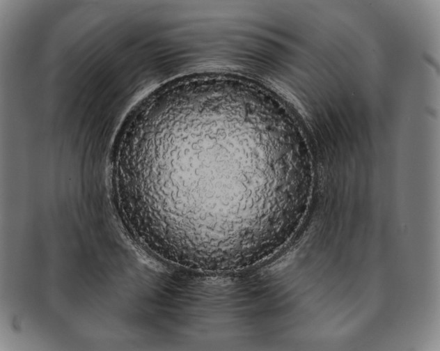 X0000091201029200708231526