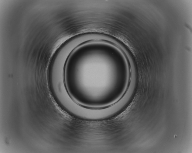 X0000091201030200708231526