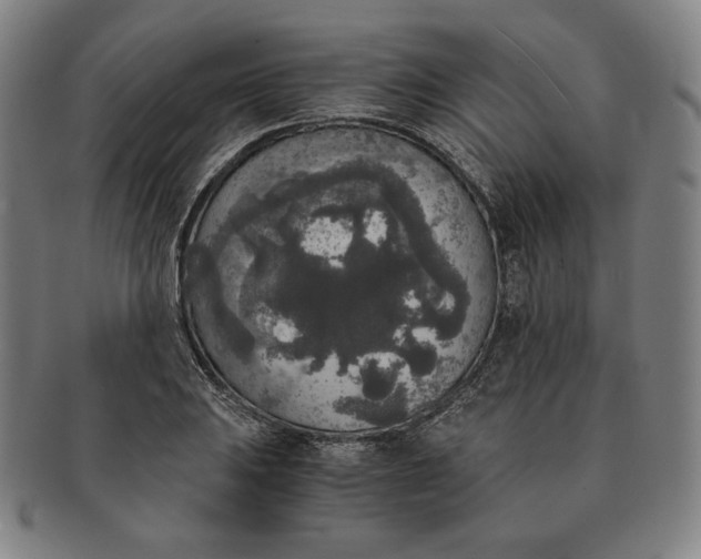 X0000091201031200708231526