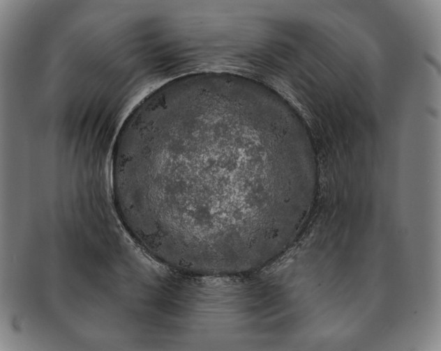X0000091201032200708231526