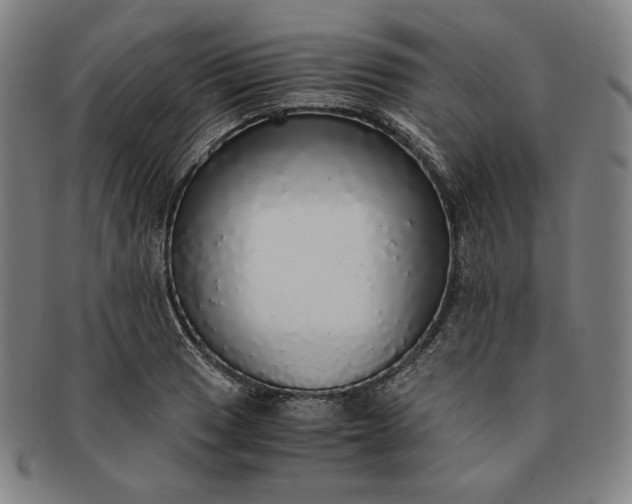 X0000091201033200708231526