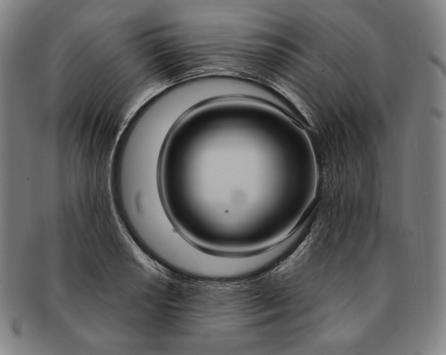 X0000091201034200708231526