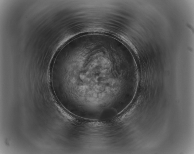 X0000091201037200708231526