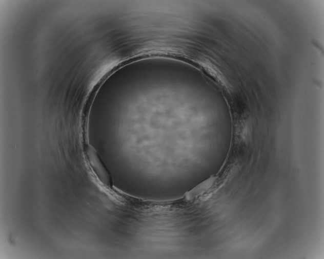 X0000091201038200708231526