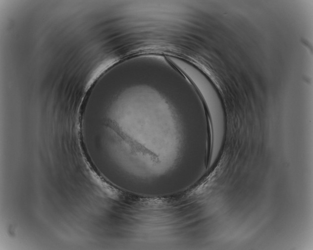 X0000091201042200708231526