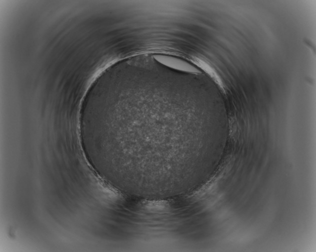 X0000091201043200708231526