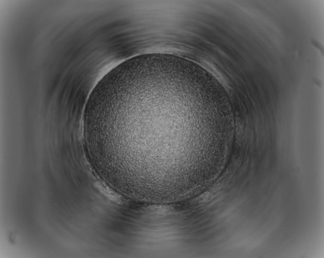 X0000091201044200708231526
