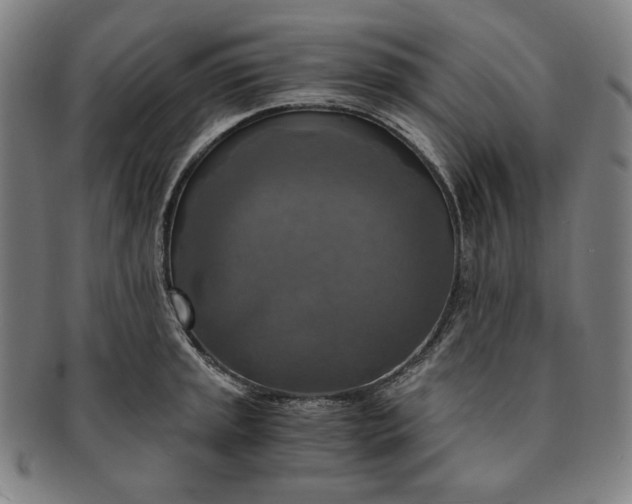 X0000091201045200708231526