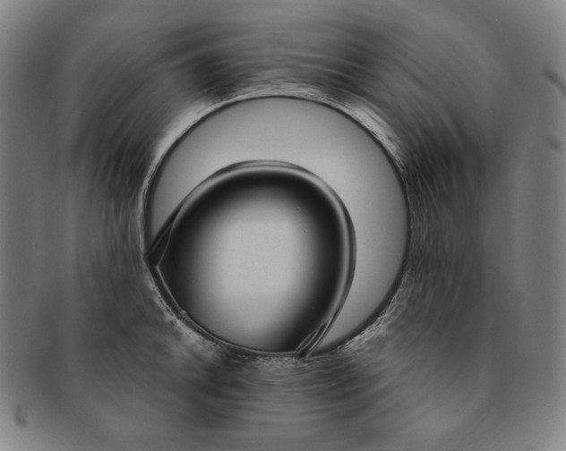 X0000091201046200708231526