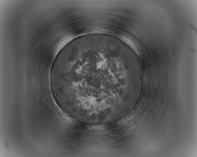 X0000091201047200708231526