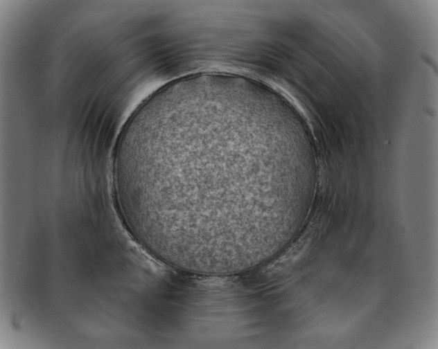 X0000091201048200708231526