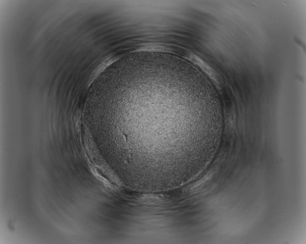 X0000091201049200708231526