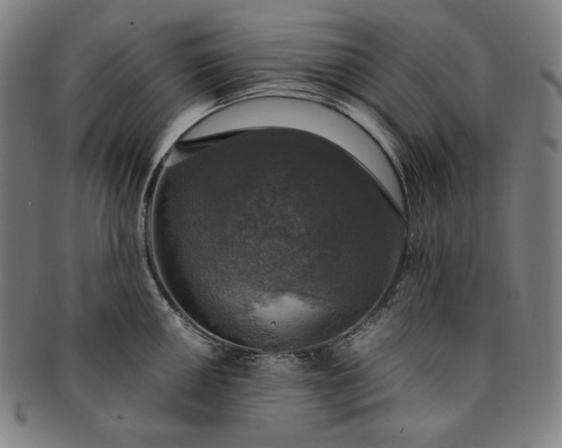 X0000091201050200708231526