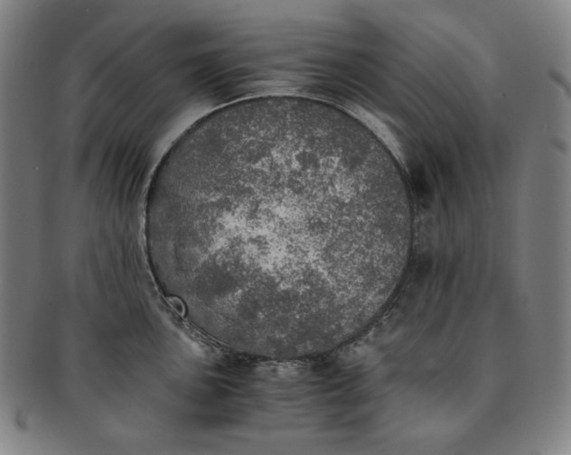 X0000091201051200708231526