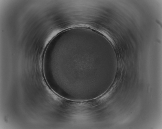 X0000091201054200708231526