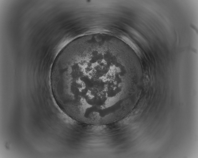 X0000091201055200708231526