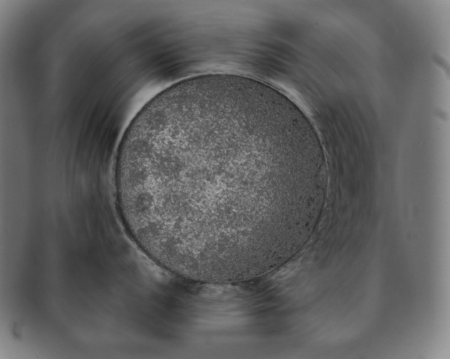 X0000091201056200708231526
