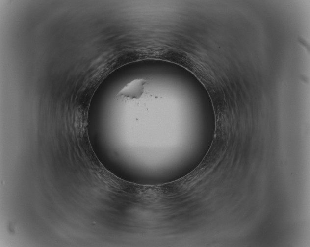 X0000091201058200708231525
