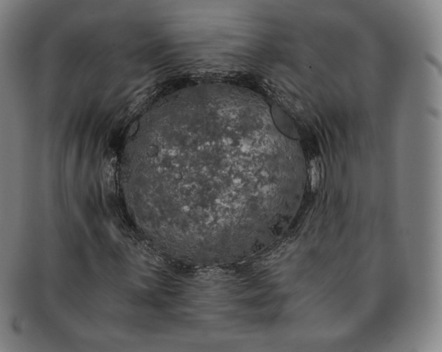 X0000091201059200708231525