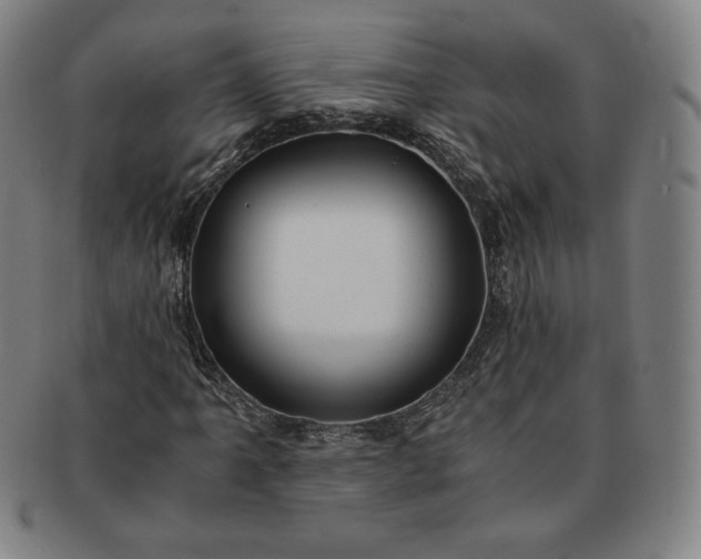 X0000091201061200708231525