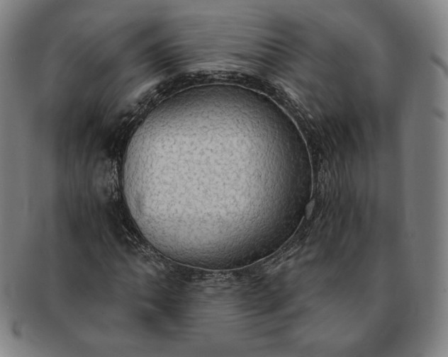 X0000091201062200708231525