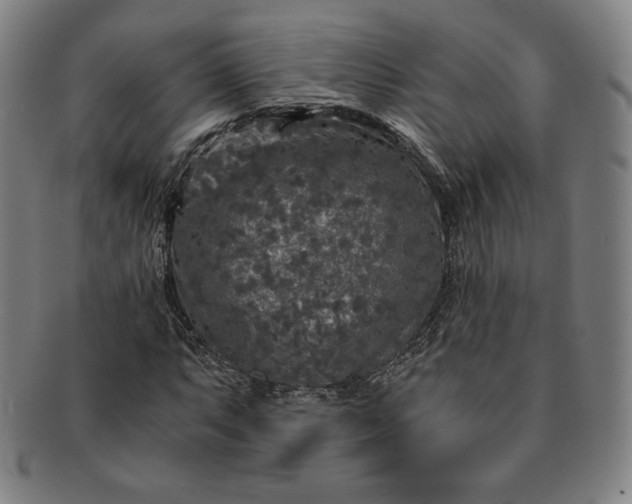 X0000091201063200708231525