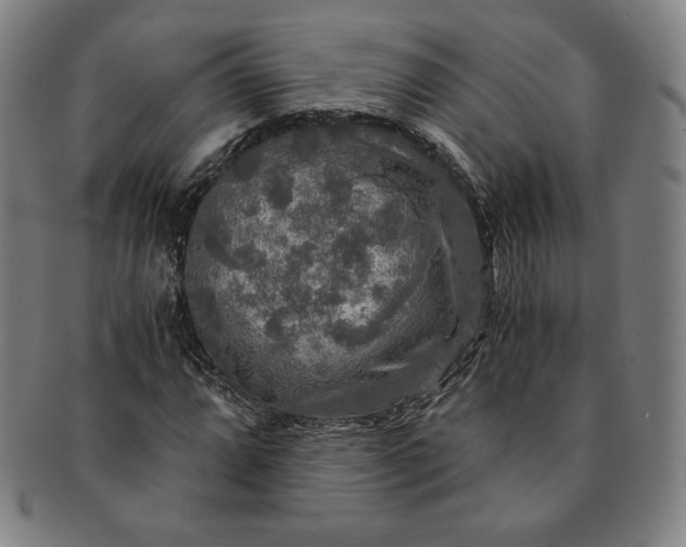 X0000091201064200708231525