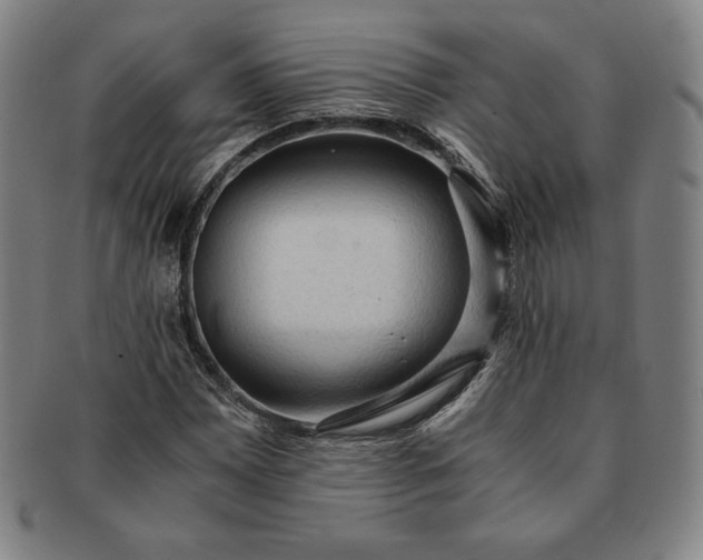 X0000091201065200708231525