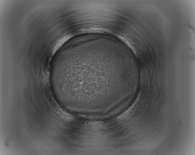 X0000091201066200708231525