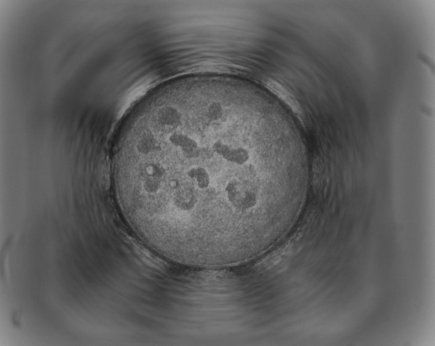 X0000091201067200708231525