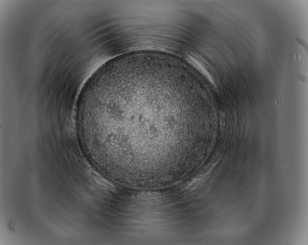 X0000091201068200708231525