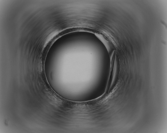 X0000091201069200708231525